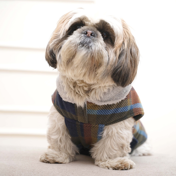 Pets Way Checks Winter Jacket for Dogs