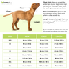 Cheeku Superhero Graphic Cotton T Shirt for Dogs and Cats (Sharp Green) Both-Clothing & Accessories Cheeku Dropship