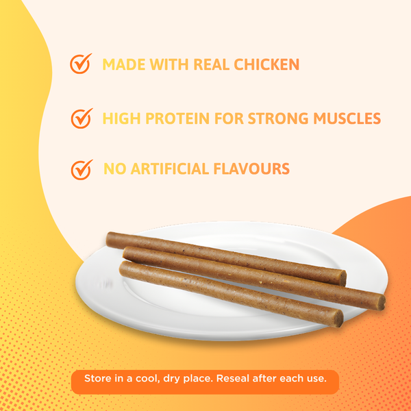 BearHugs Chicken & Pumpkin Soft & Chewy Sticks Dog Treats