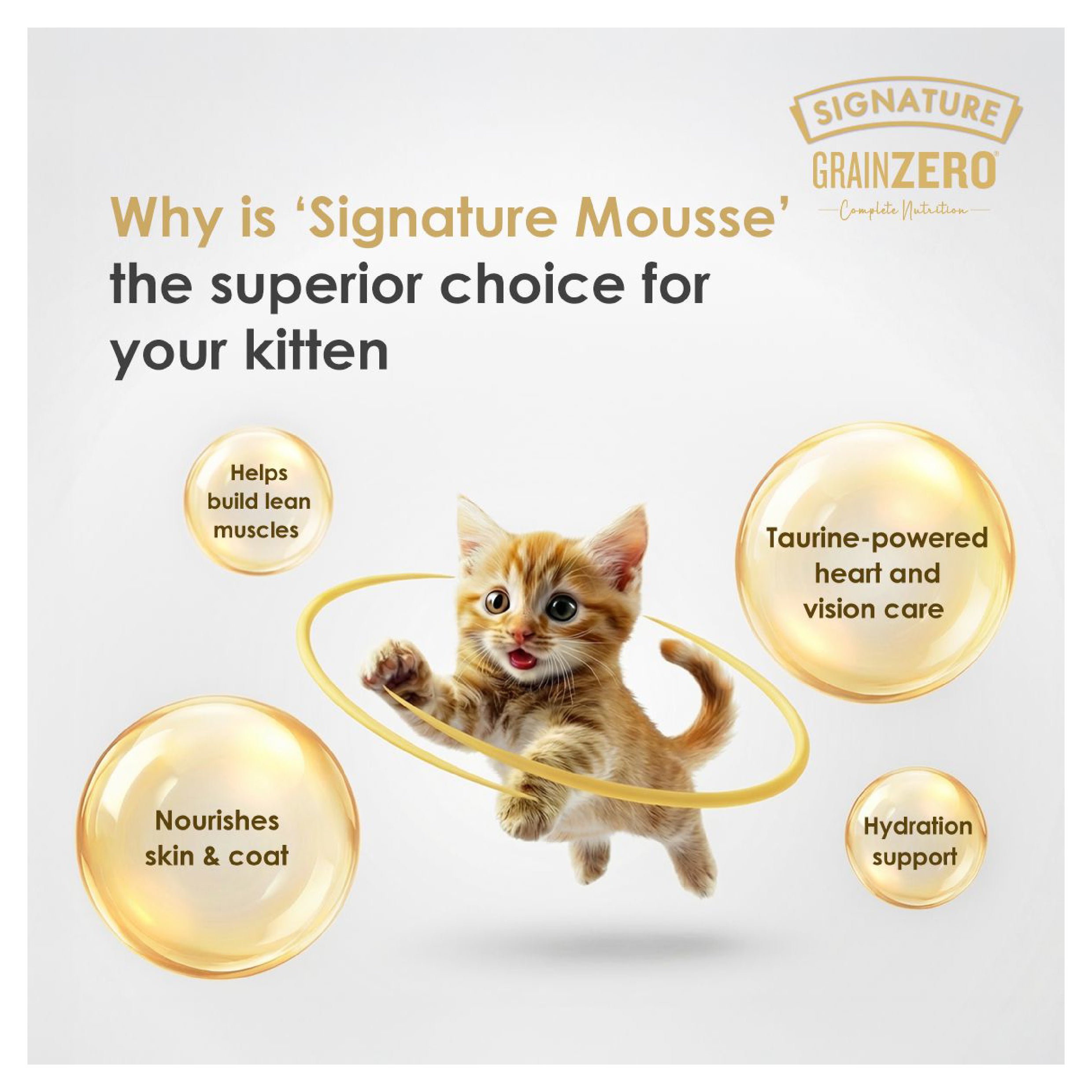 Signature Grain Zero Chicken Mousse Adult Cat Wet Food Cats-Wet Food Signature