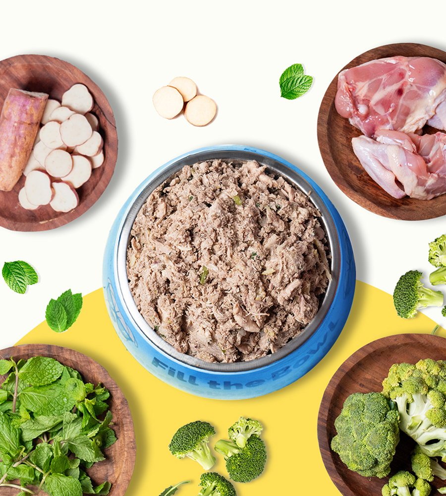 Pawfectly Made By Licious Chicken Broccoli & Sweet Potato Home Meal for Dogs Home Meals Pawfectly Made By Licious