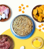 Pawfectly Made By Licious Chicken Egg & Pumpkin Home Meal for Cats Home Meals Pawfectly Made By Licious