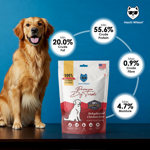 Hachi Wilson Premium Dehydrated Chicken Feet Jerky Dog Treat
