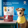 Hachi Wilson Premium Dehydrated Chicken Feet Jerky Dog Treat Dog Treats + Others Hachi Wilson