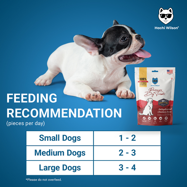 Hachi Wilson Premium Dehydrated Chicken Feet Jerky Dog Treat