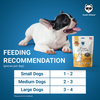 Hachi Wilson Premium Dehydrated Chicken Wings Jerky Dog Treat Dog Treats + Others Hachi Wilson