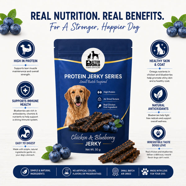 Petter World Chicken & Blueberry Jerky Premium Protein Dog Treats