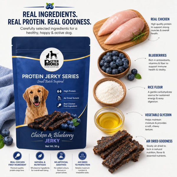 Petter World Chicken & Blueberry Jerky Premium Protein Dog Treats