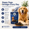 Petter World Chicken & Blueberry Jerky Premium Protein Dog Treats Dog Treats + Others Petter World Dropship