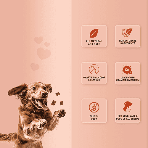 Natural Remedies Treat O'Clock Chicken and Egg Treats for Dogs Dog Treats + Others Natural Remedies