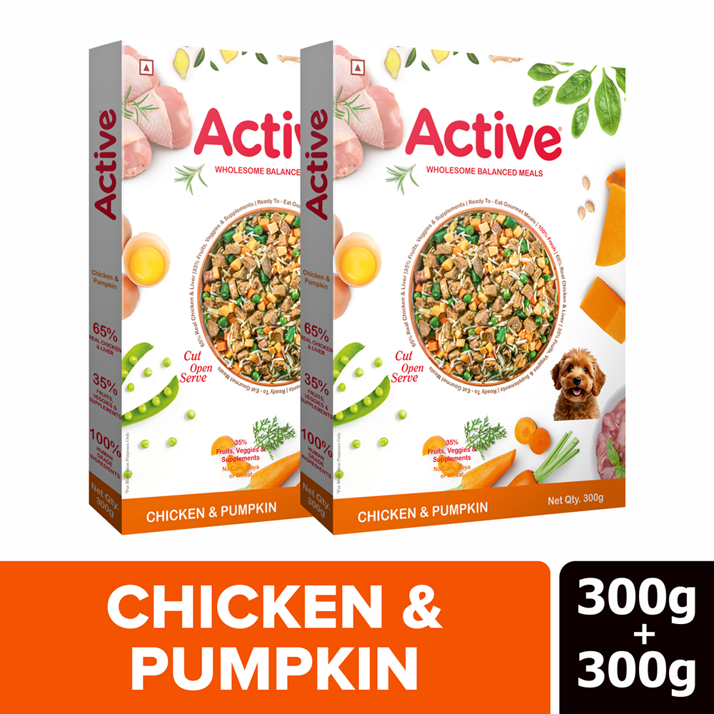 Active Chicken and Pumpkin Biryani Fresh Food For Dogs Dogs-Wet Food Active 300+300g
