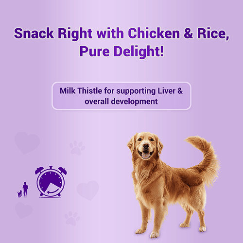 Natural Remedies Treat O'Clock Chicken and Rice Treats for Dogs Dog Treats + Others Natural Remedies