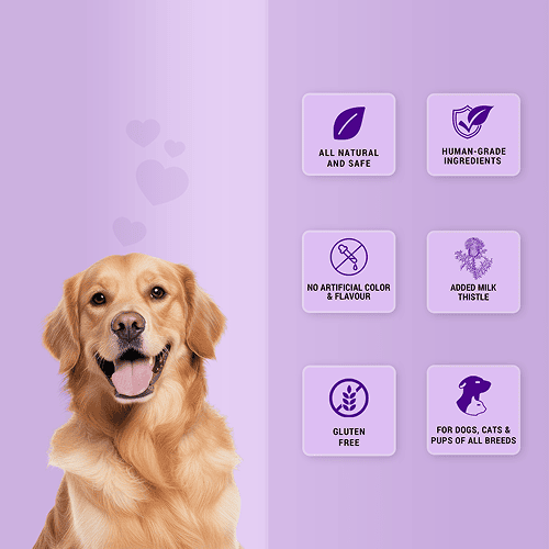 Natural Remedies Treat O'Clock Chicken and Rice Treats for Dogs Dog Treats + Others Natural Remedies