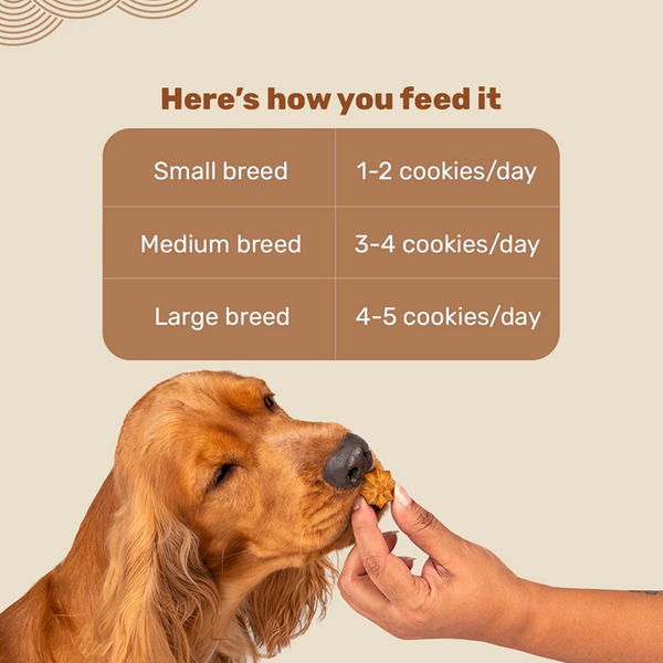 HUFT Gluten Free Goat Milk & Grilled Chicken Cookie Dog Treats