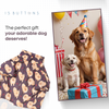 15buttons Chow Chow Shirt for Dogs Dogs-Clothing & Accessories 15buttons Dropship