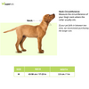 Chullbull Nylon & Stainless Steel Choke Chain Collar for Dogs