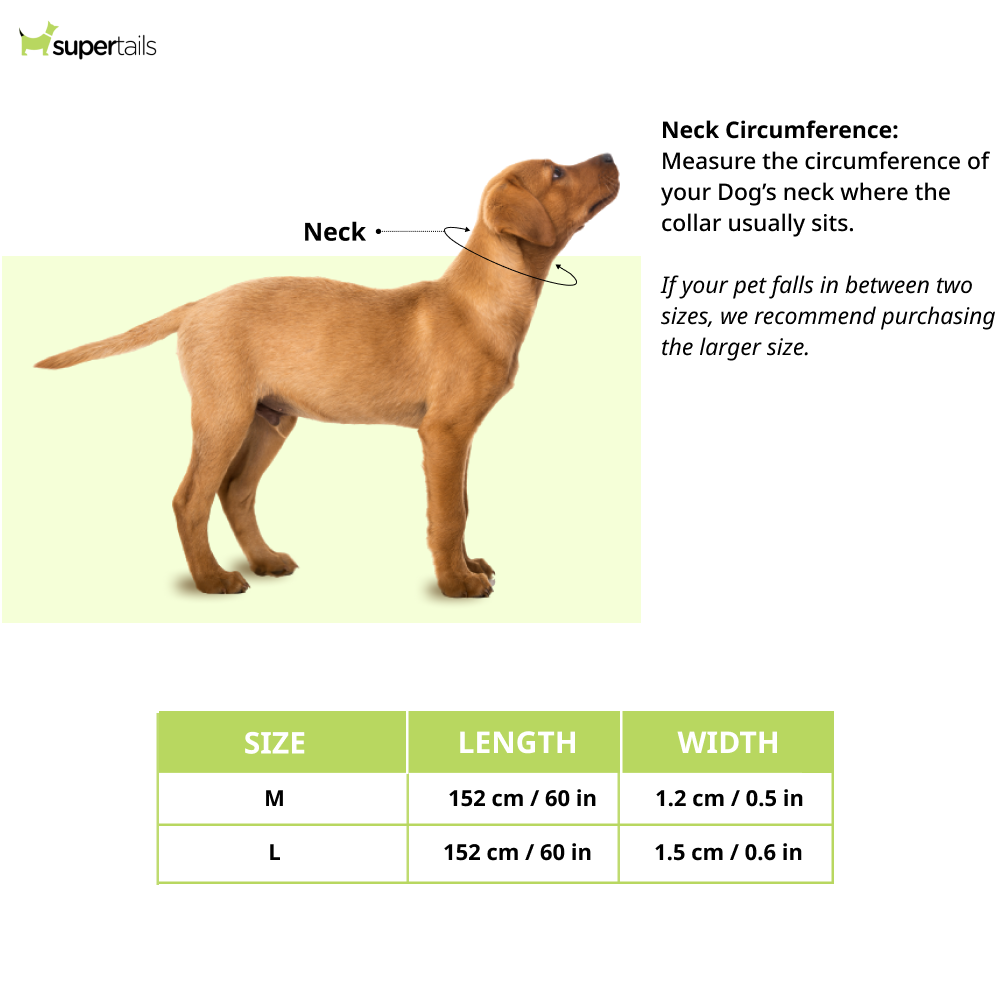 Chullbull Behavioral Training Choke Chain for Dogs (Silver) Dogs-Collar, Leashes, harnesses Chullbull Dropship
