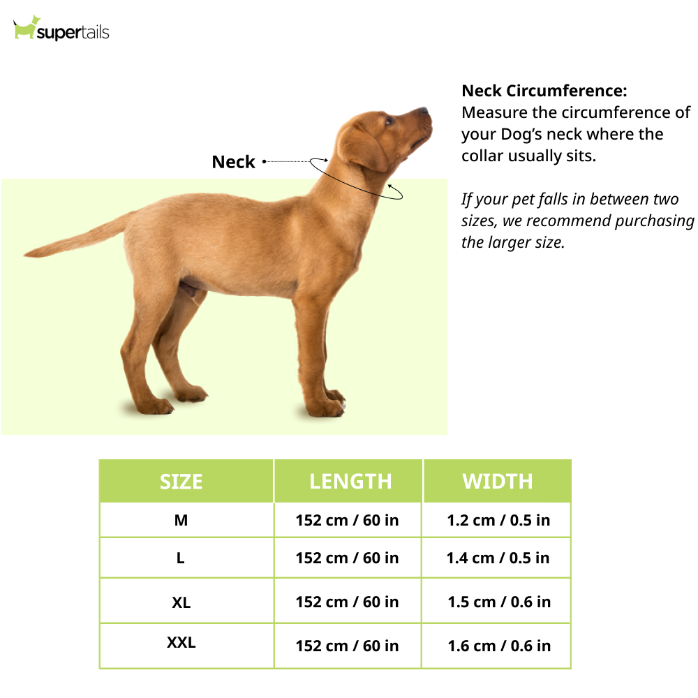 Chullbull Heavy Duty Chain Leash for Dogs (Silver) Dogs-Collar, Leashes, harnesses Chullbull Dropship