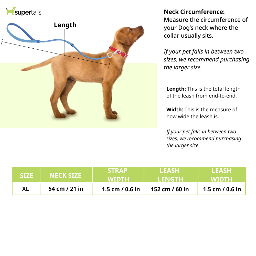 Chullbull Adjustable and Durable Chrome Plated Chain Leash and Choke Collar for Dogs Dogs-Collar, Leashes, harnesses Chullbull Dropship