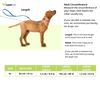 Chullbull Durable Light Weight Chain Leash and Choke Collar for Dogs Dogs-Collar, Leashes, harnesses Chullbull Dropship