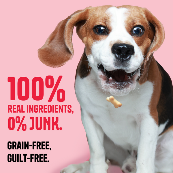 Muttley Crew Buff and Mint Biscuits Dog Treats
