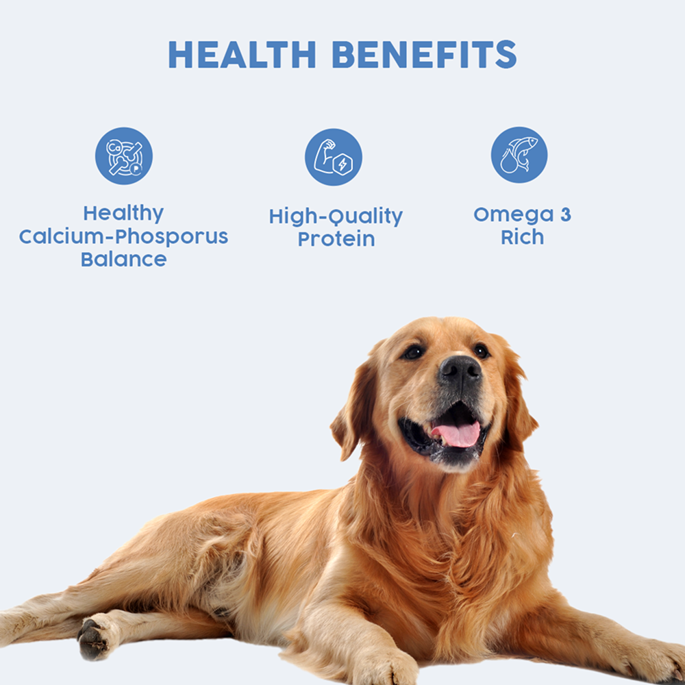 Benny's Bowl Clinical Nutrition for Renal Issues Dog Wet Food Dogs-Fresh Food Bennys Bowl