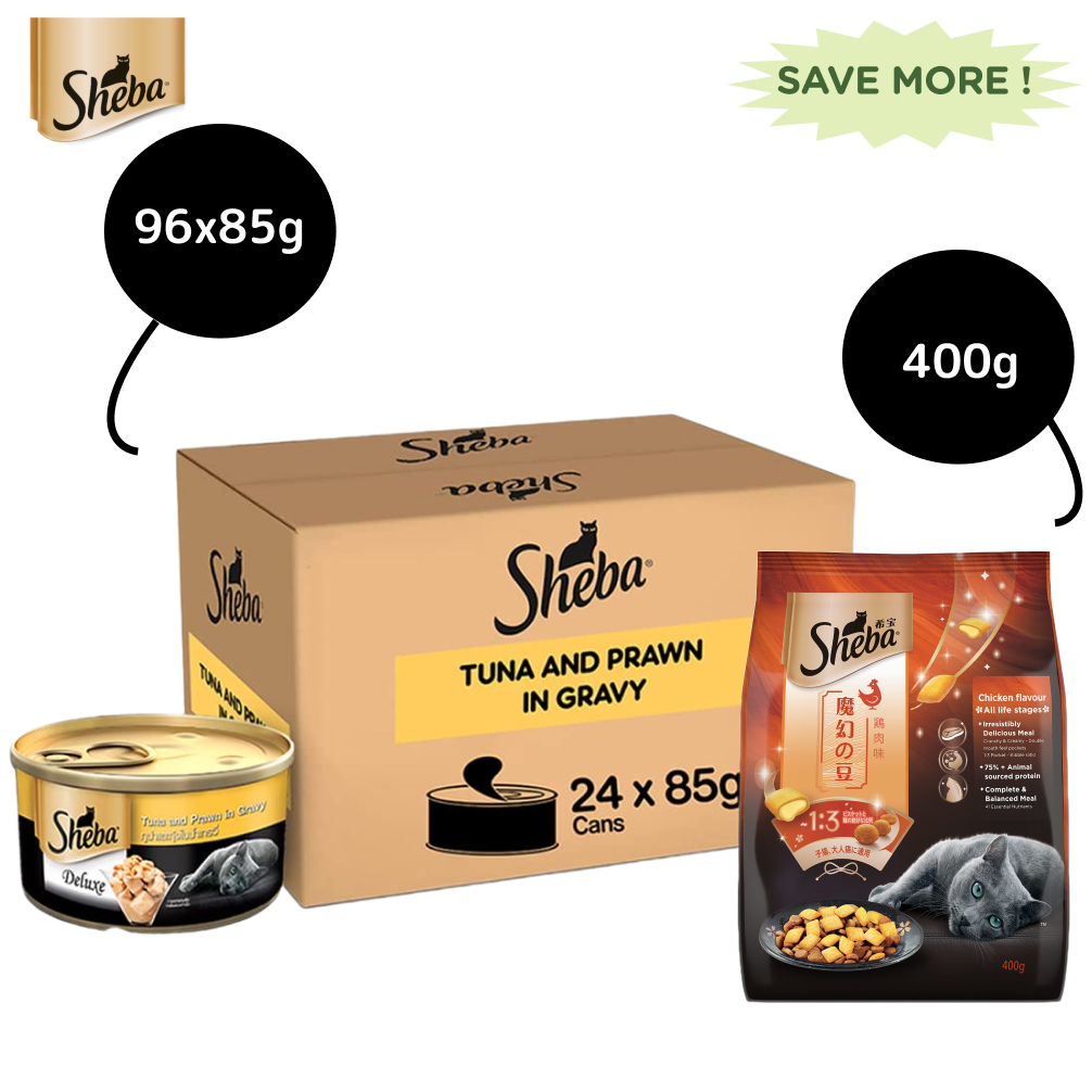 Sheba Tuna Fillet & Whole Prawns in Gravy Premium Cat Wet Food and Chicken Flavour Irresistible All Life Stage Cat Dry Food Combo Exclusive Combo Sheba 96x85g + 400g