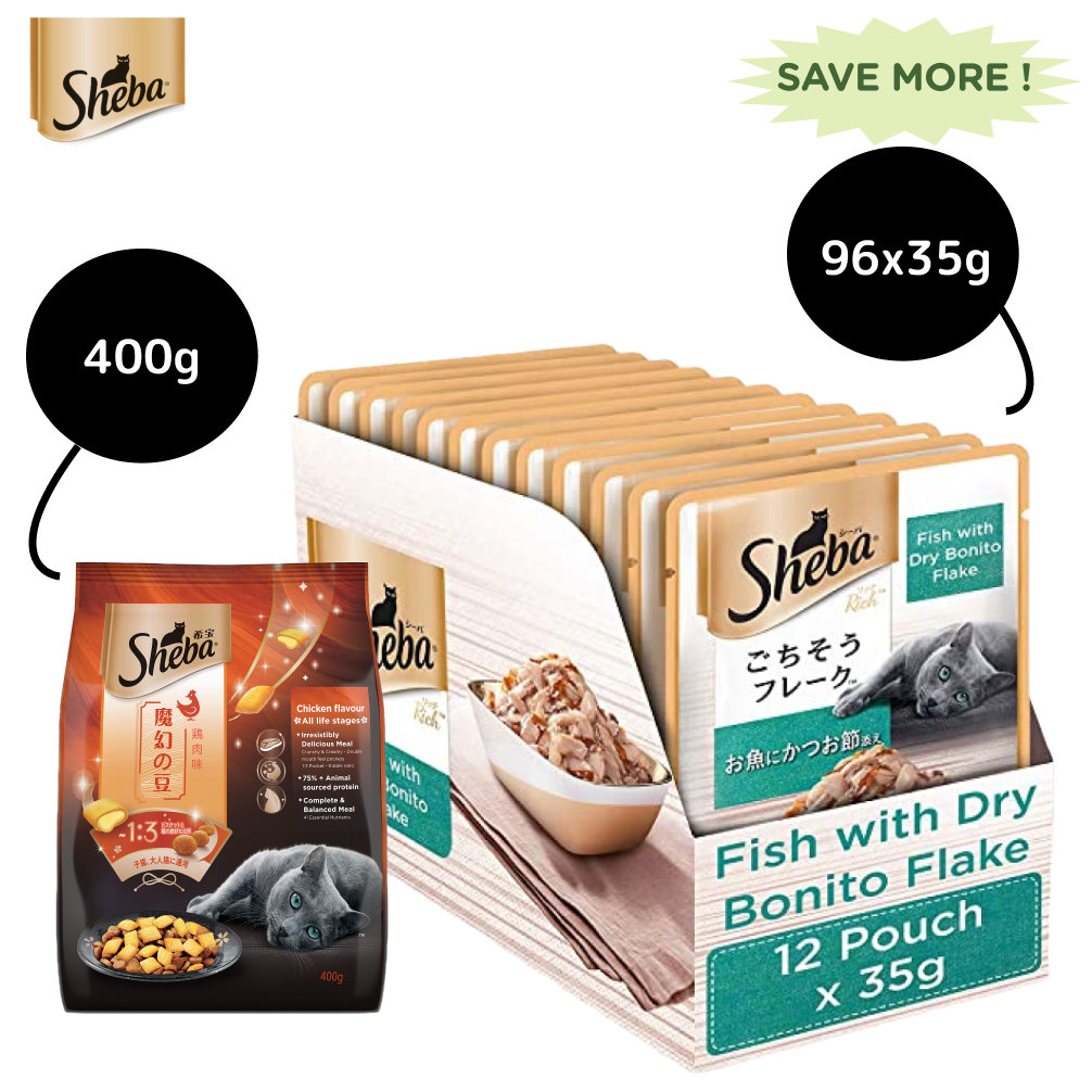 Sheba Fish with Dry Bonito Flake Premium Cat Wet Food and Chicken Flavour Irresistible All Life Stage Cat Dry Food Combo Exclusive Combo Sheba 96x35g + 400g