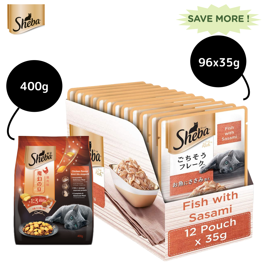 Sheba Fish with Sasami Premium Cat Wet Food and Sheba Chicken Flavour Irresistible All Life Stage Cat Dry Food Combo Exclusive Combo Sheba 96x35g + 400g