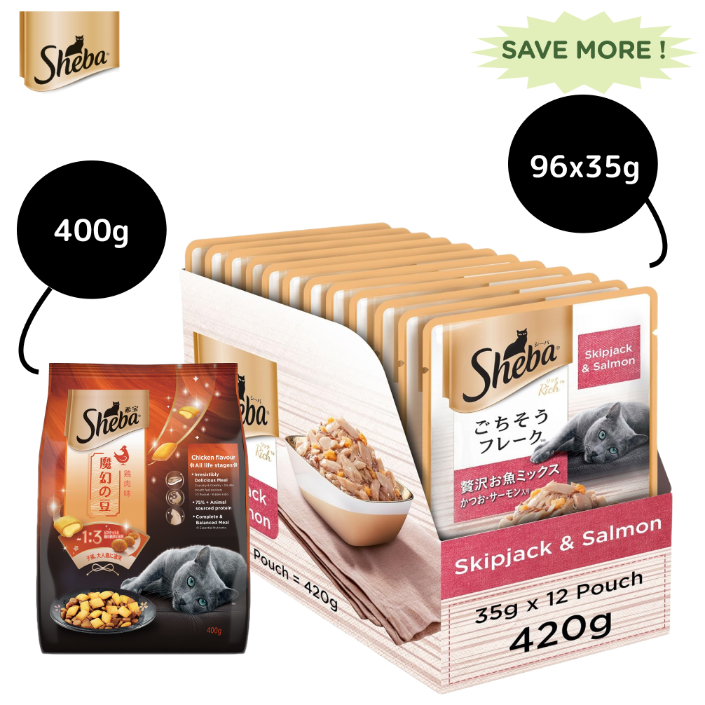 Sheba Skipjack & Salmon Fish Mix Cat Wet Food and Chicken Flavour Irresistible All Life Stage Cat Dry Food Combo Exclusive Combo Sheba 96x35g + 400g