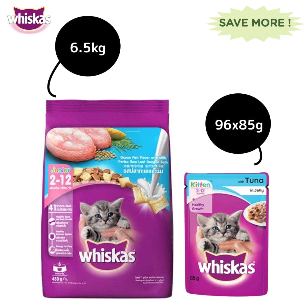 Whiskas Tuna in Jelly Kitten Wet Food and Ocean Fish Kitten Dry Food Combo