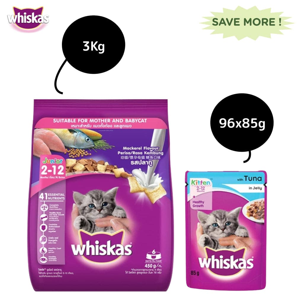 Whiskas Tuna in Jelly Kitten Wet Food and Mackerel Flavour Kitten (2 to 12 months) Dry Food Combo