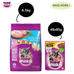 Whiskas Chicken in Gravy Meal Kitten Wet Food and Ocean Fish Kitten Dry Food Combo