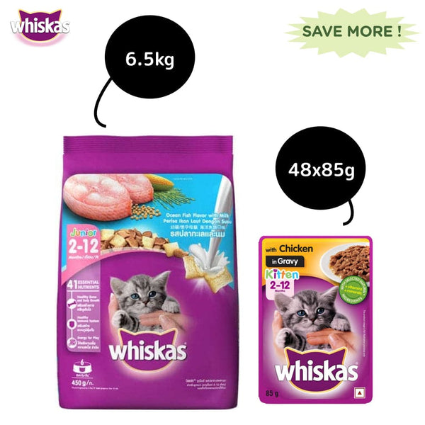 Whiskas Chicken in Gravy Meal Kitten Wet Food and Ocean Fish Kitten Dry Food Combo