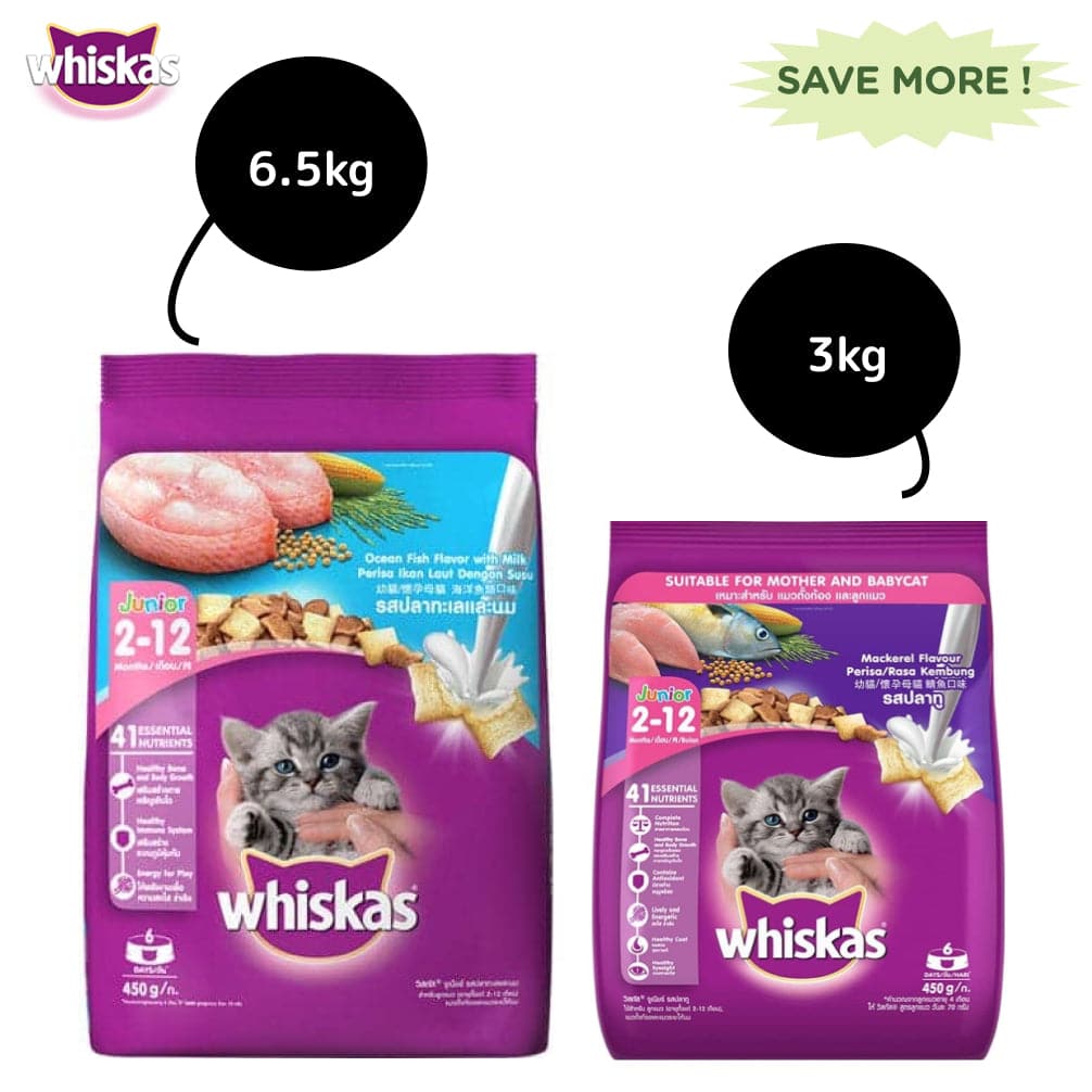 Whiskas Ocean Fish and  Mackerel Flavour Kitten Cat (2 to 12 months) Dry Food Combo