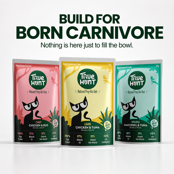 TrueHunt Chicken & Egg Shreds in Broth Healthy Real Meat Cat Wet Food