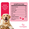 Yummytails Chicken and Fish Premium Adult Medium and Large Dog Dry Food Dogs- Dry Food Yummytails