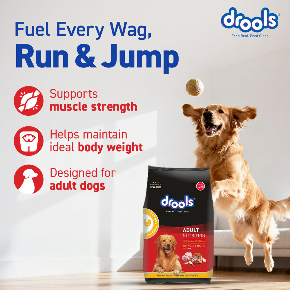 Drools Chicken and Egg Adult Dog Dry Food