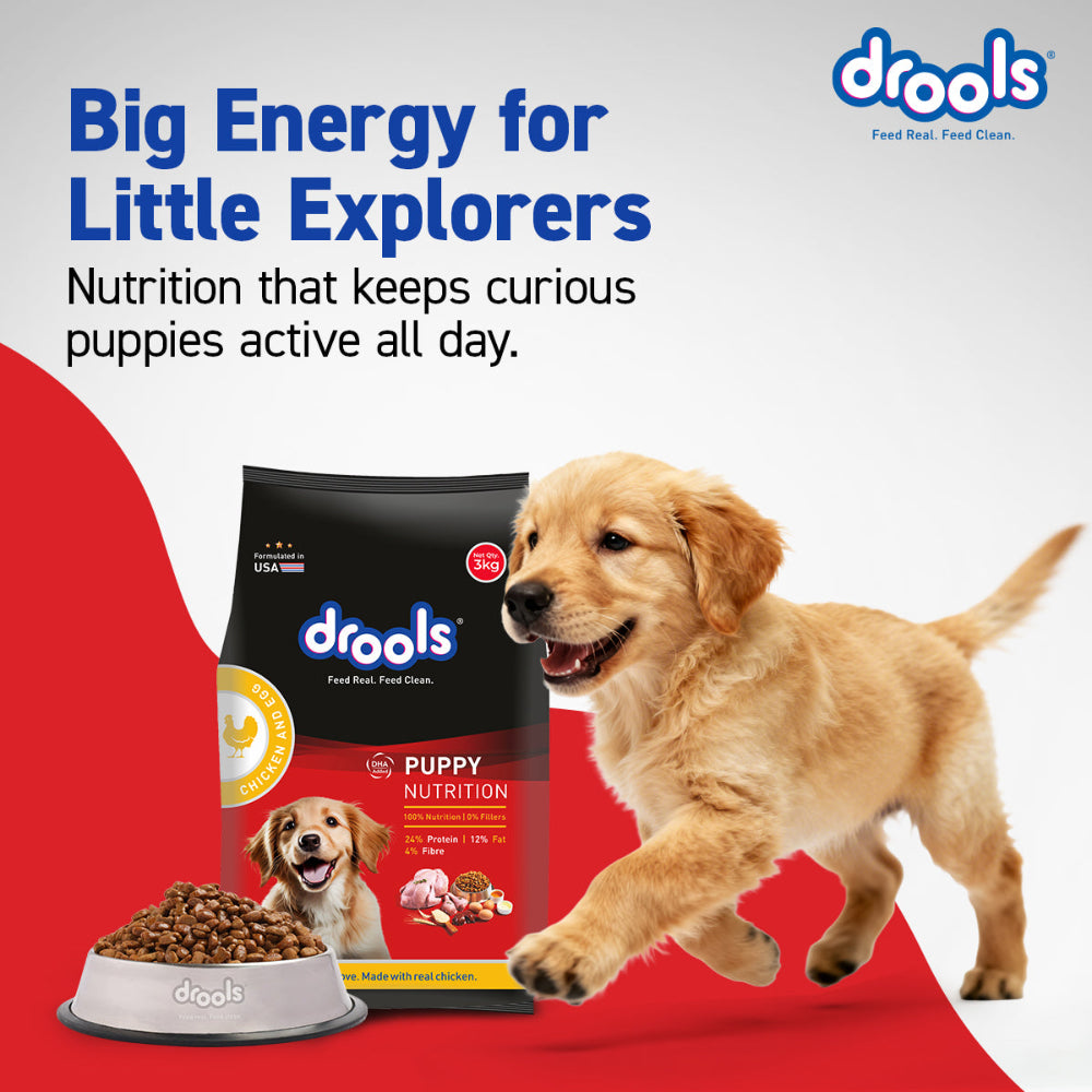 Drools Chicken and Egg Puppy Dog Dry Food