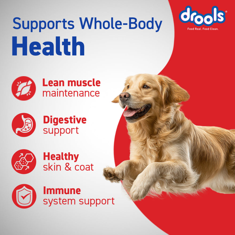 Drools Chicken and Egg Adult Dog Dry Food
