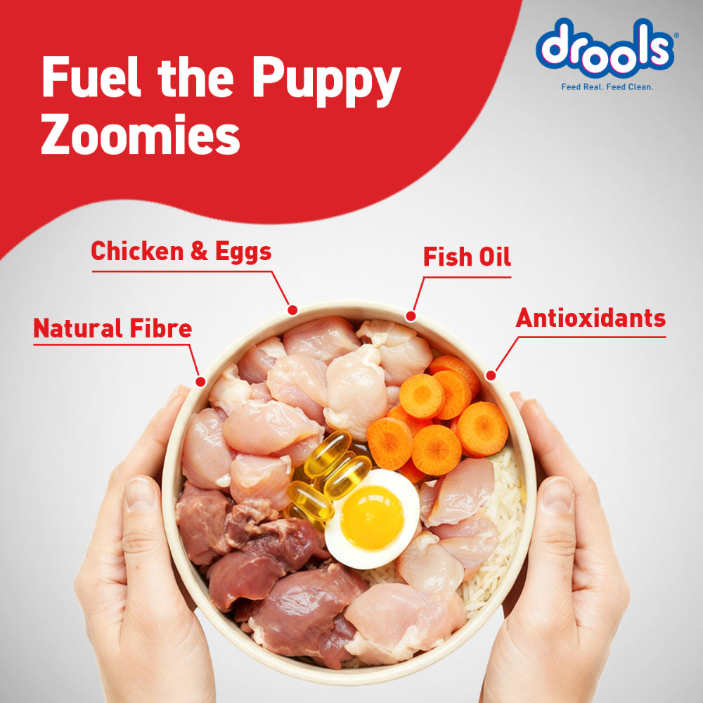 Drools Chicken and Egg Puppy Dog Dry Food