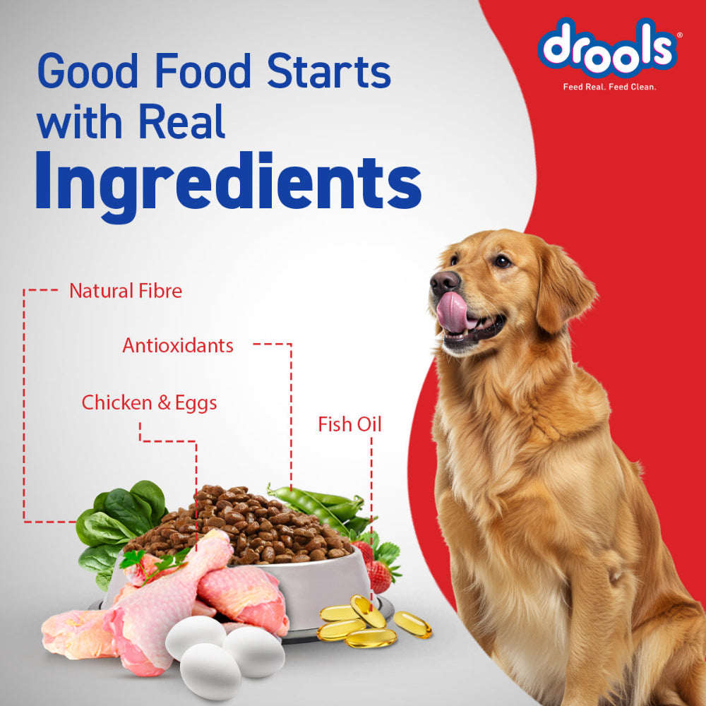 Drools Chicken and Egg Adult Dog Dry Food