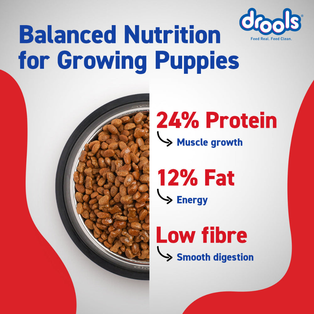 Drools Chicken and Egg Puppy Dog Dry Food