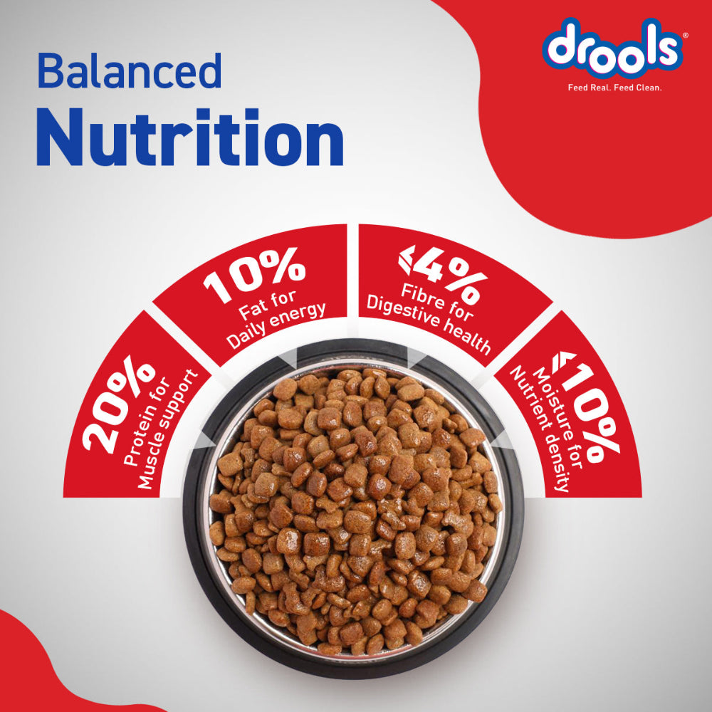 Drools Chicken and Egg Adult Dog Dry Food