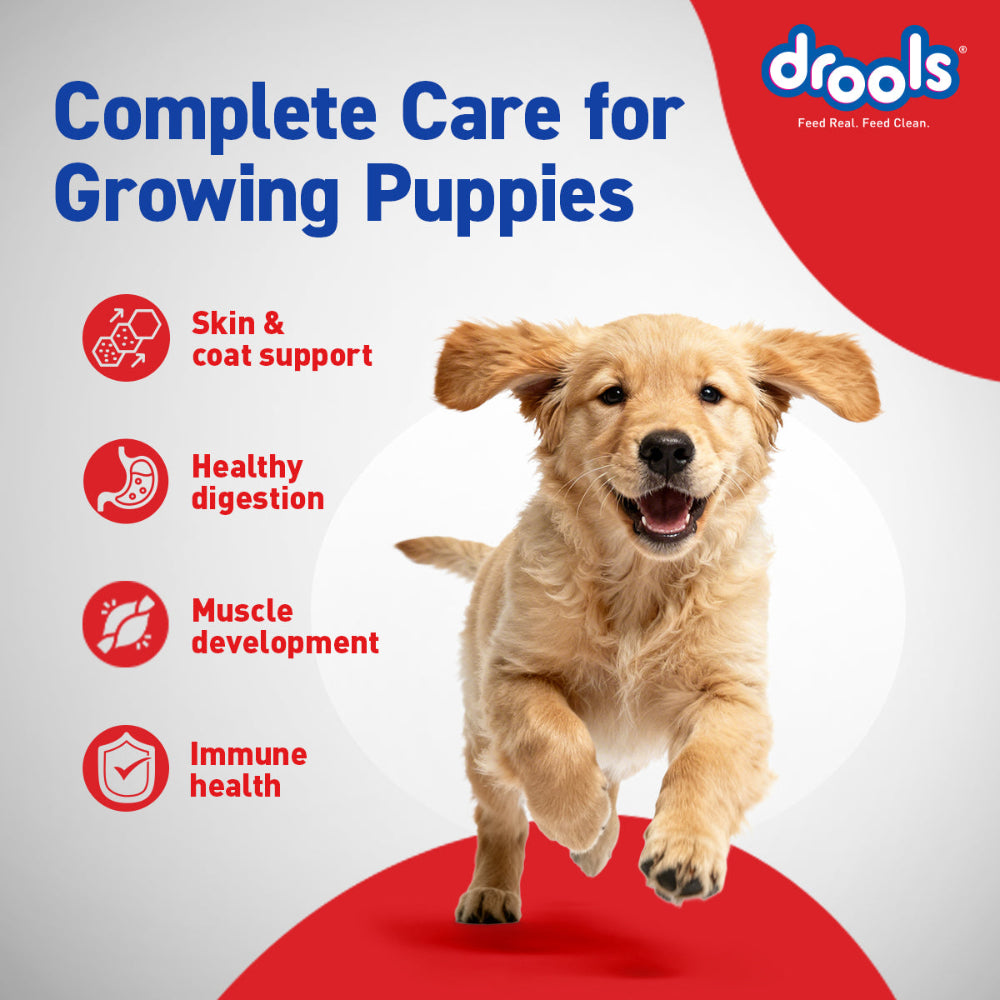 Drools Chicken and Egg Puppy Dog Dry Food