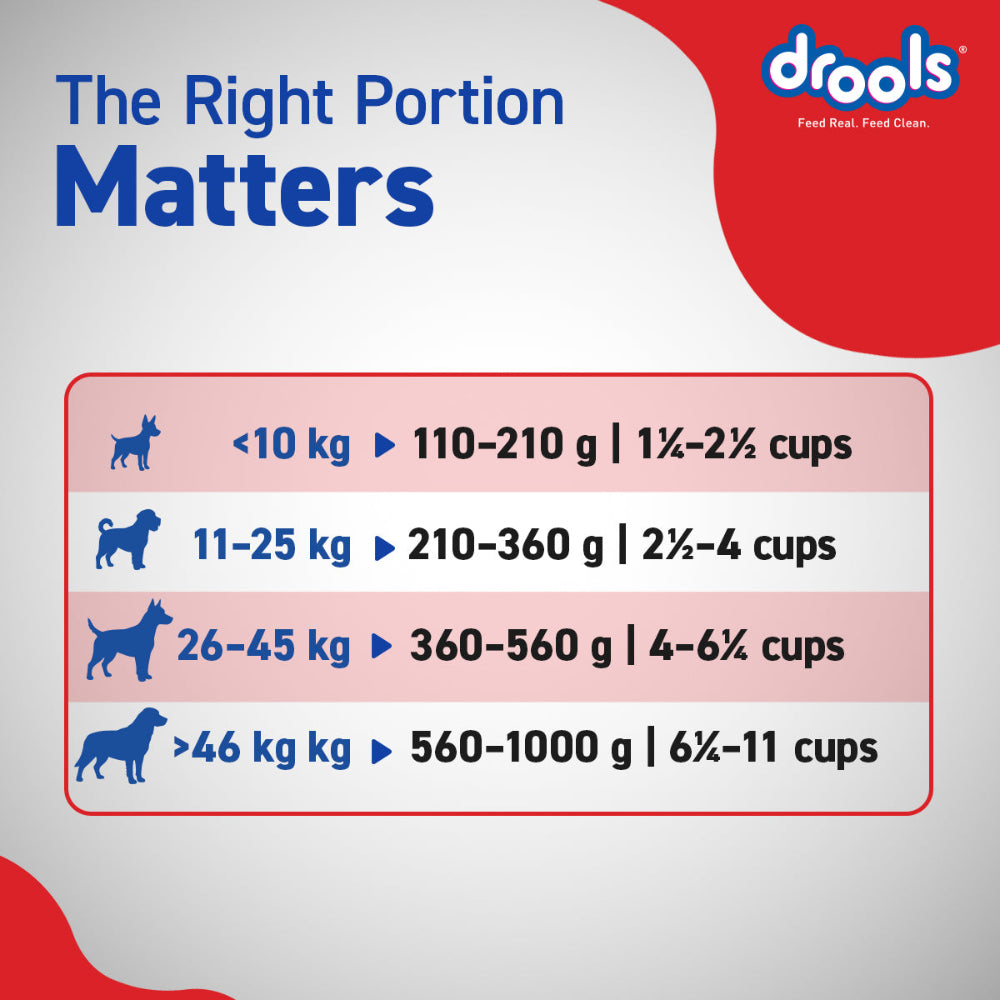 Drools Chicken and Egg Adult Dog Dry Food Dogs- Dry Food Drools