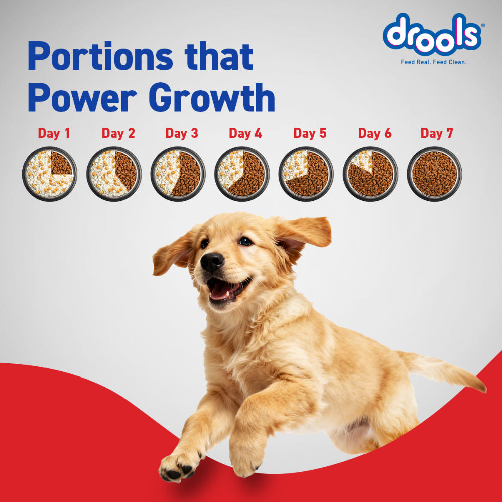Drools Chicken and Egg Puppy Dog Dry Food