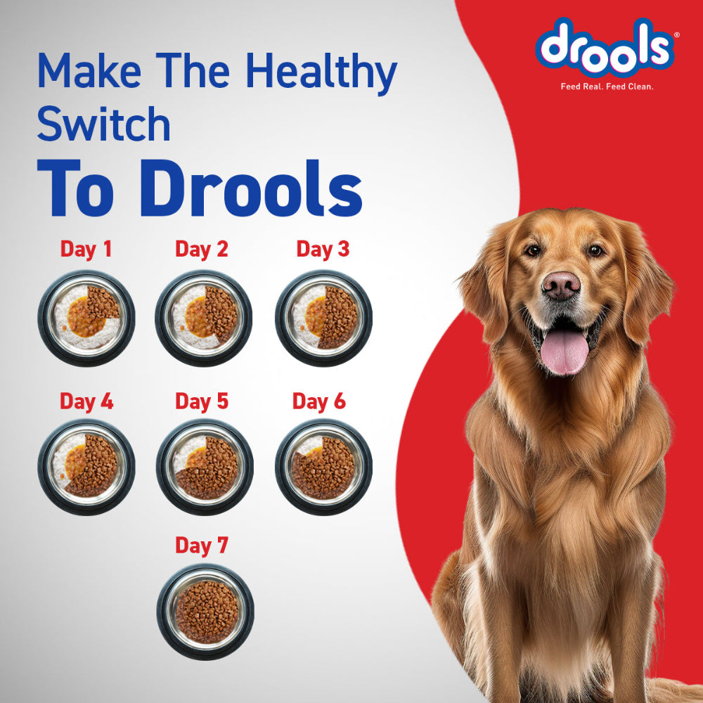 Drools Chicken and Egg Adult Dog Dry Food