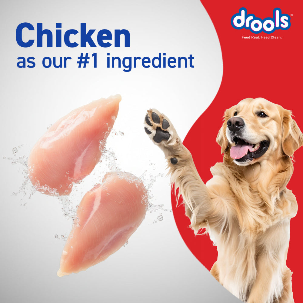 Drools Chicken and Egg Adult Dog Dry Food