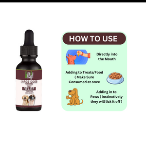 Cure By Design 1000mg CBD MCT Relief Oil for Large Dogs